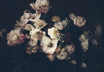beyaz çiçeklerin bir aradaki…
